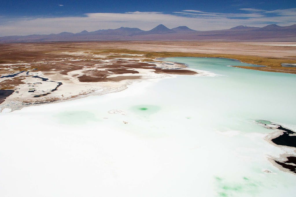 The Atacama Desert flamingos live and feed in these salt flats.