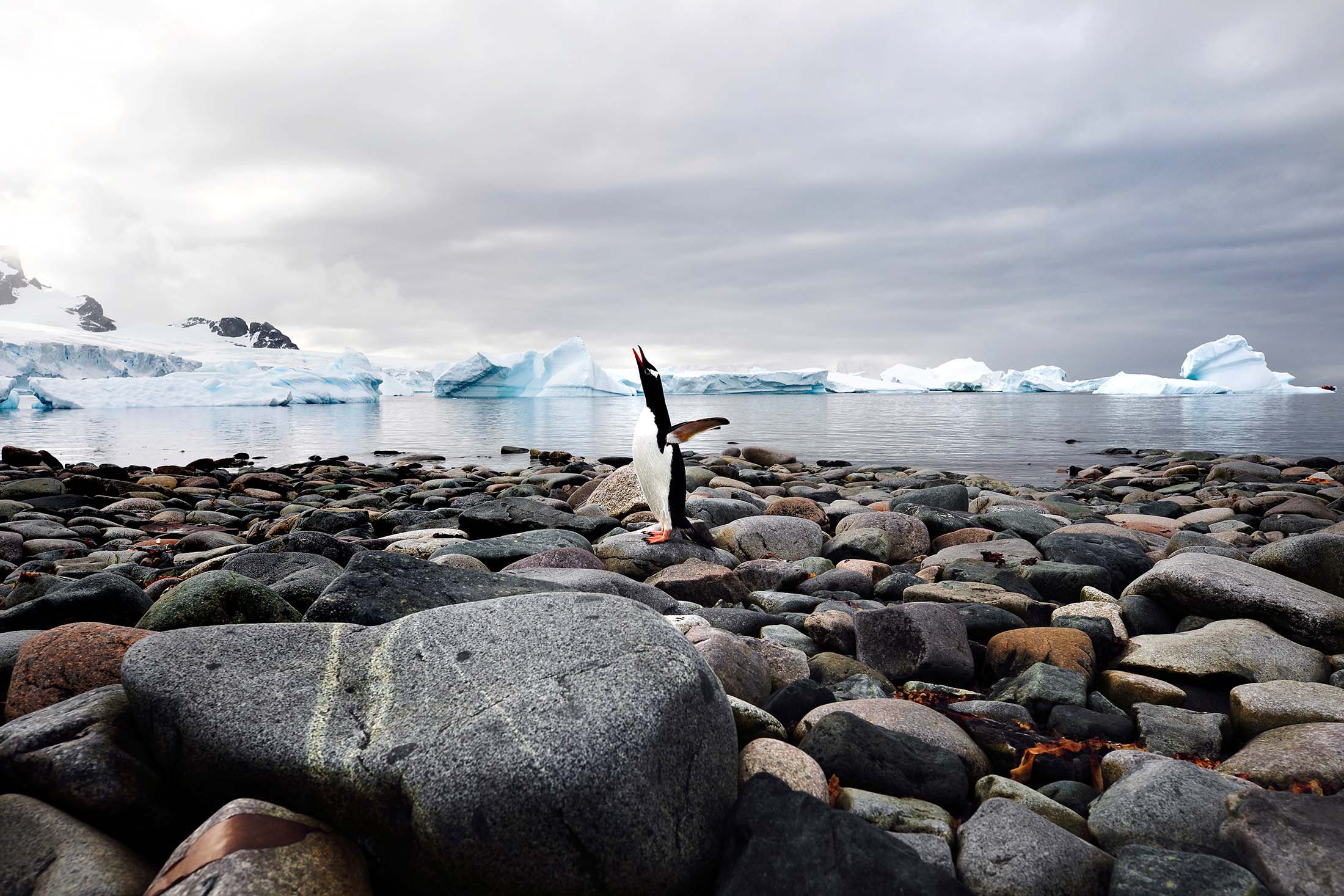 The Best Equipment For Antarctica Photography: An Expert Checklist