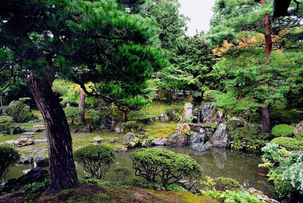 A traditional Japanese Zen garden is a precise work of art.