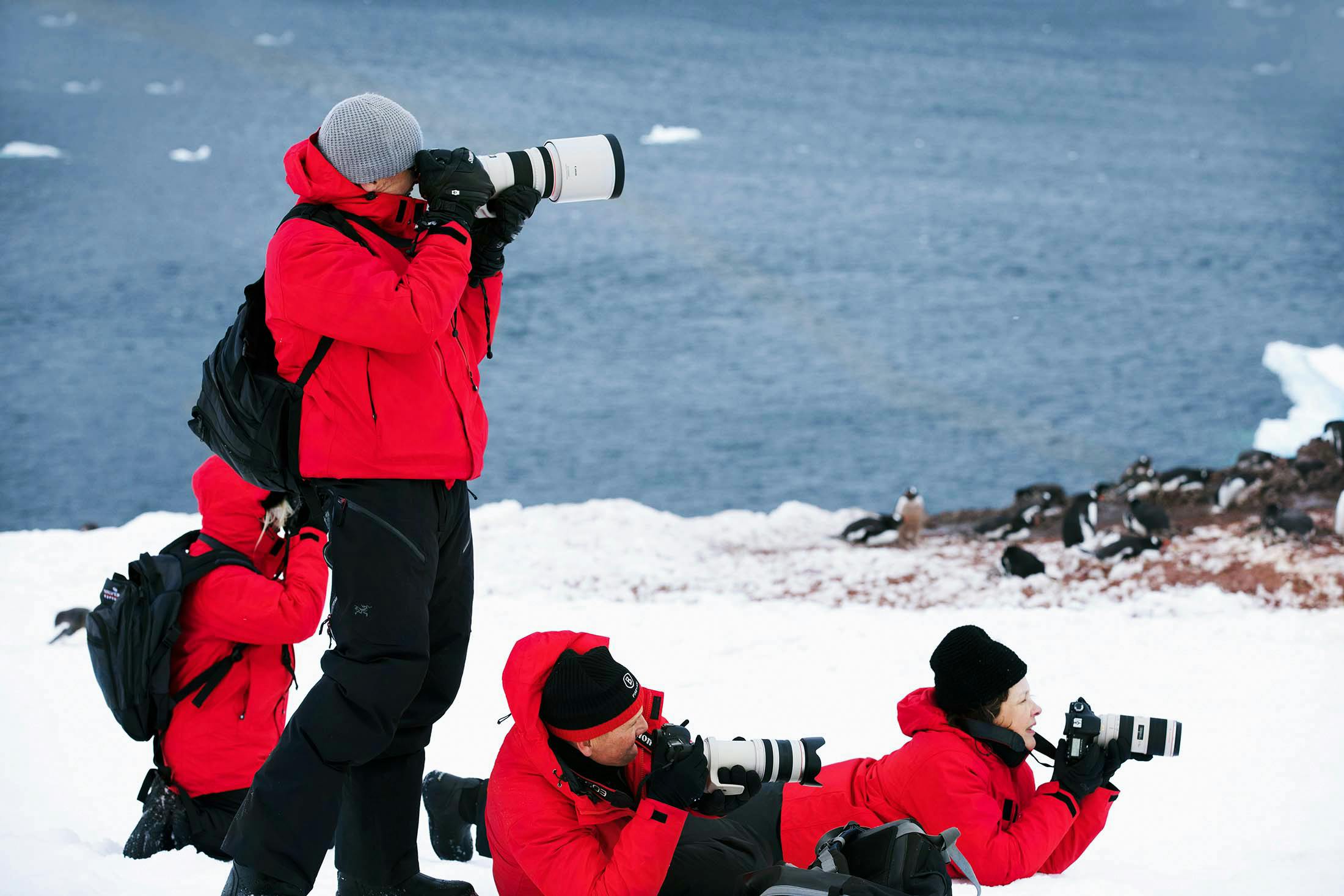 Best Photo Equipment to Pack for an Antarctica Trip An Expert Checklist
