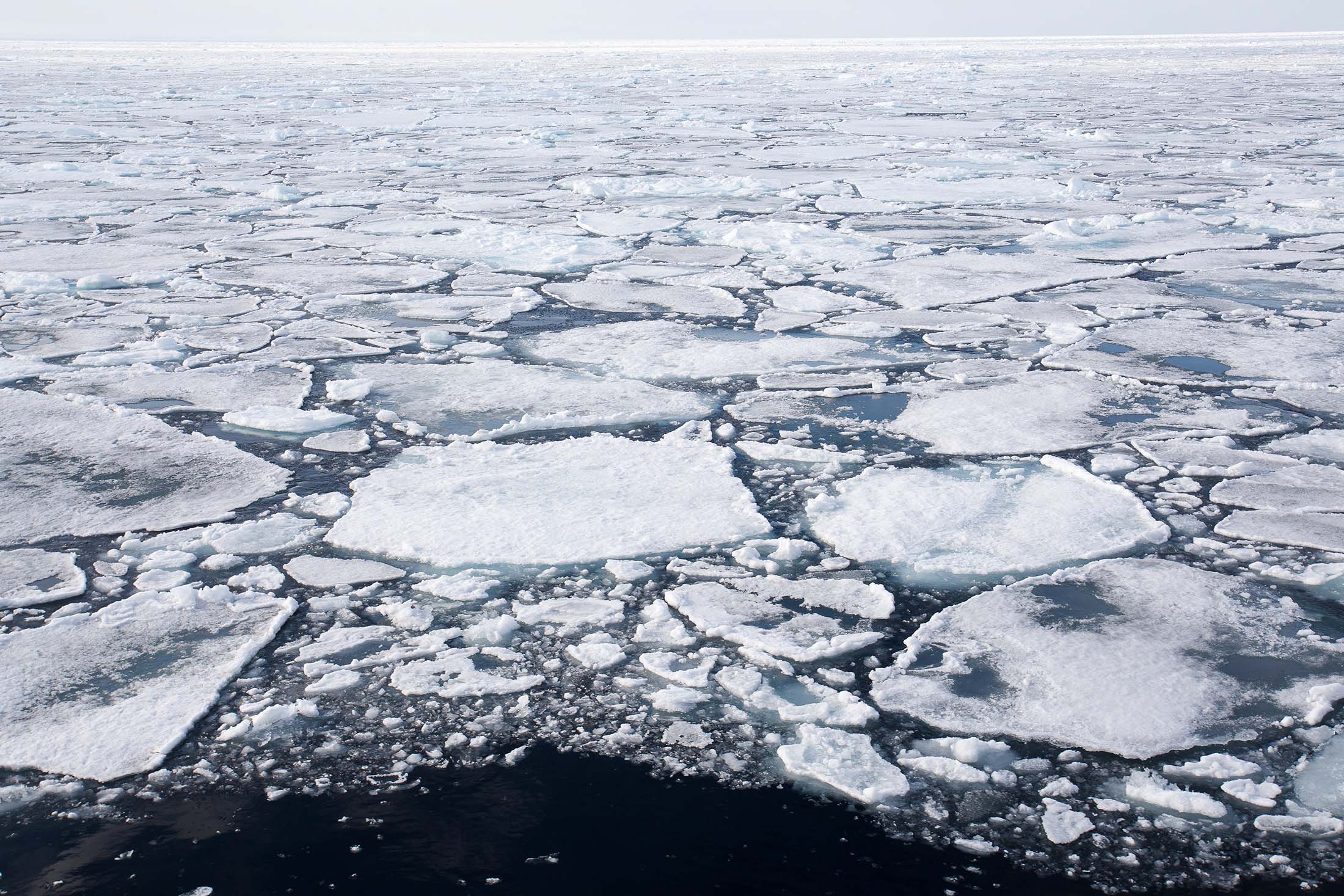 Arctic Ice Melting Myth