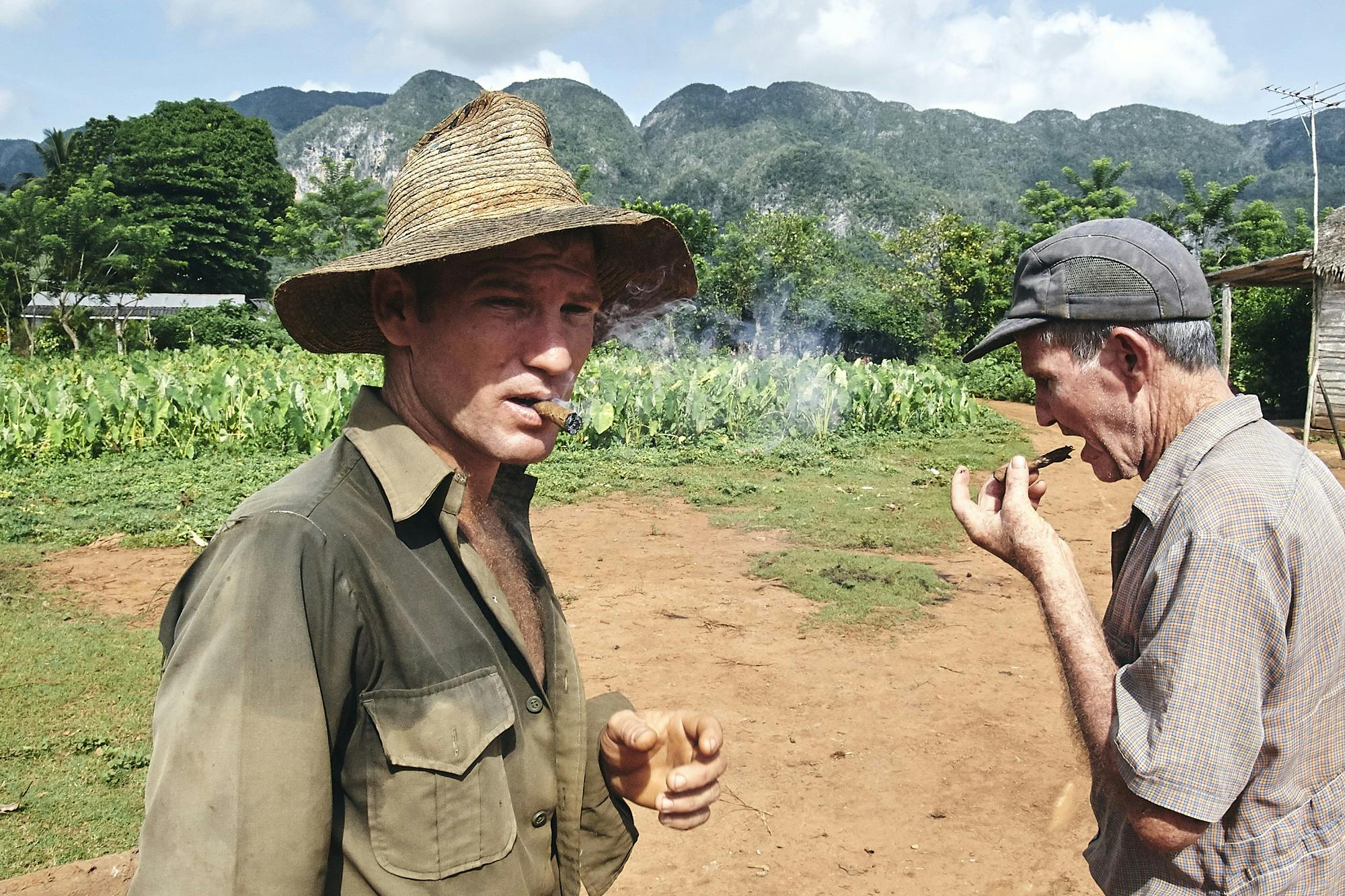 Cuban cigar makers sampling their product.