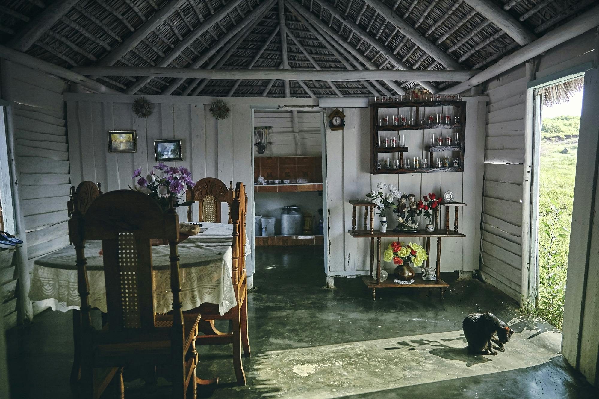 Cuban cigar makers live simple, rustic lives.