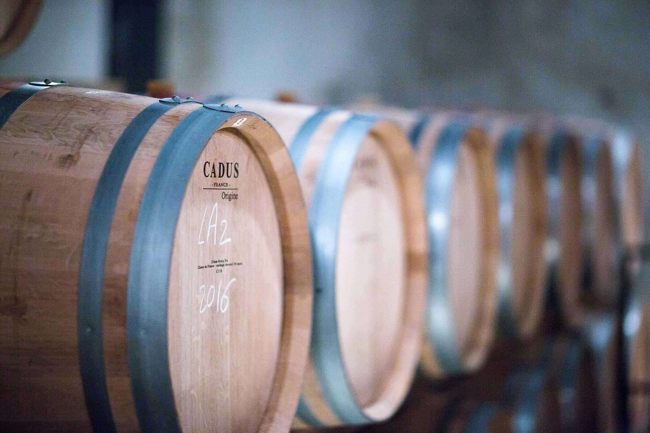 Wine in Bordeaux, France