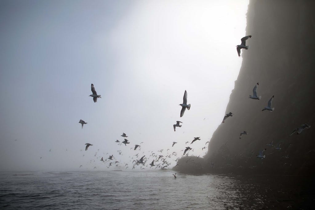 Ushishir Island, Russian Far East