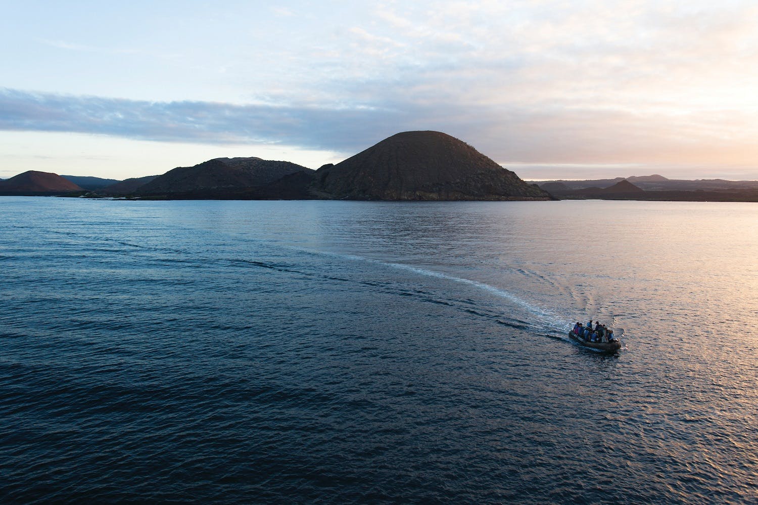 Wildlife in the Galapagos