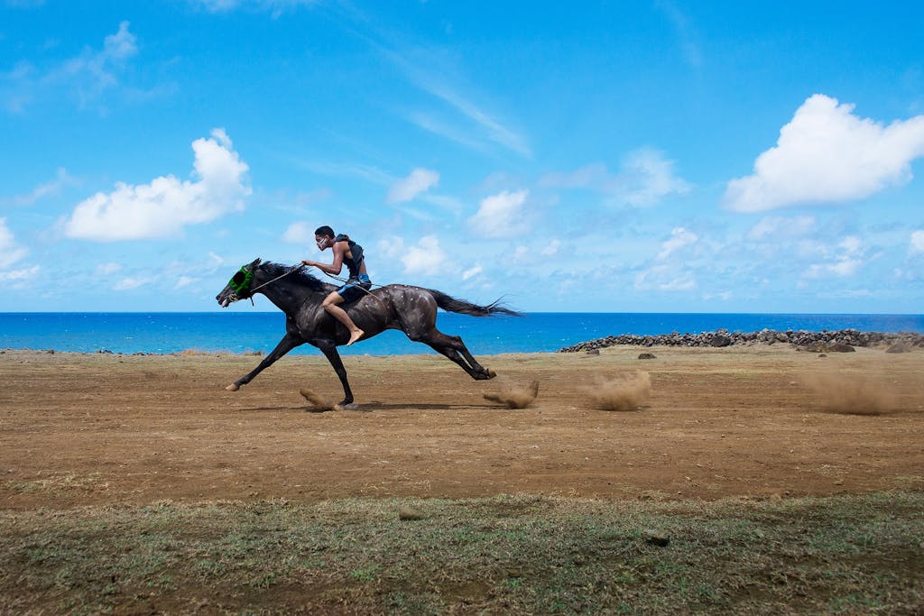 Alternative travel to Easter Island by Steve McCurry