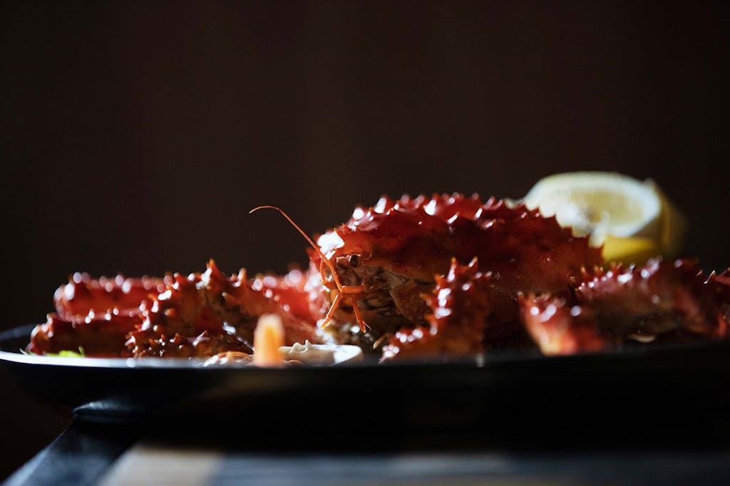 Centolla, southern king crab, Tierra del Fuego
