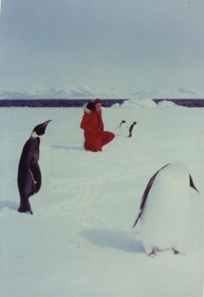 historical photograph of Antarctica