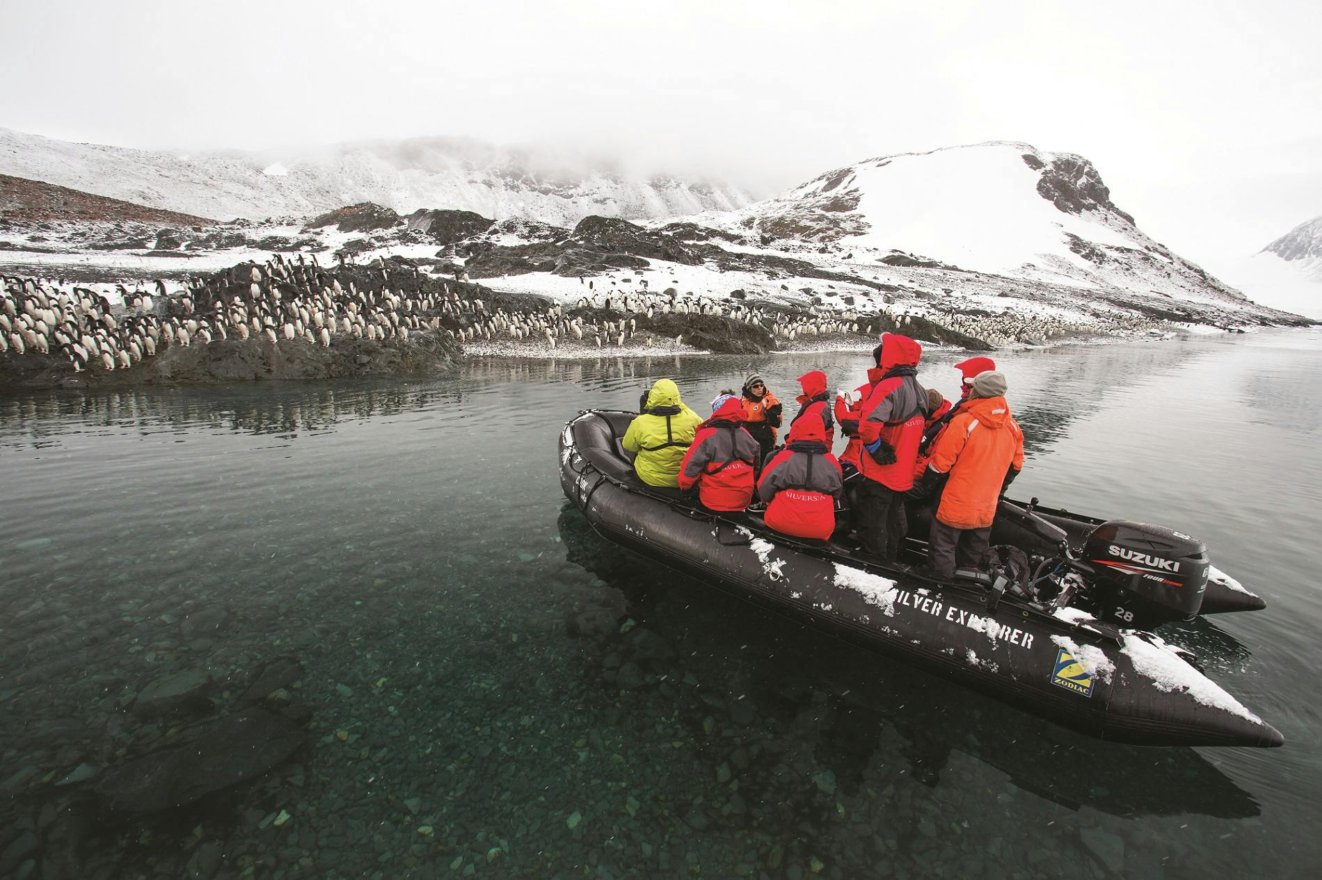 Here's Why Zodiac Tours in Antarctica Unlock the Best in Polar Travel