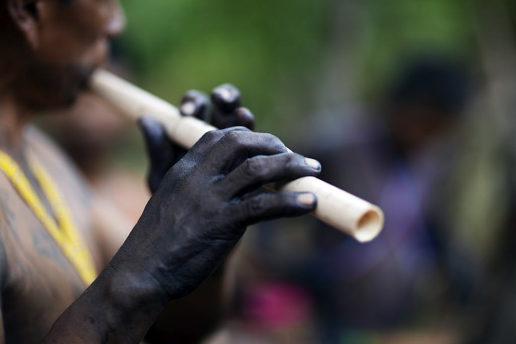 Emberá instrument