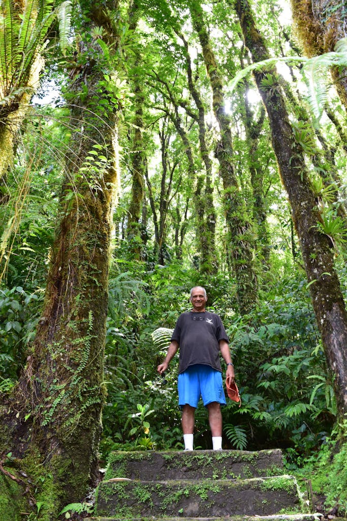 Forested mountains of Martinique