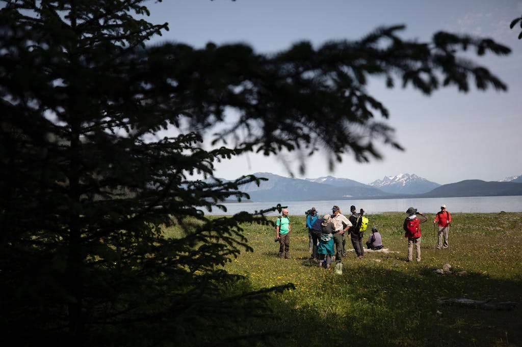 Silversea guests hike to Davidson Glacier