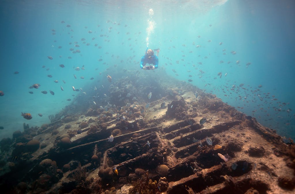 A diver explores a wreck in Barbados