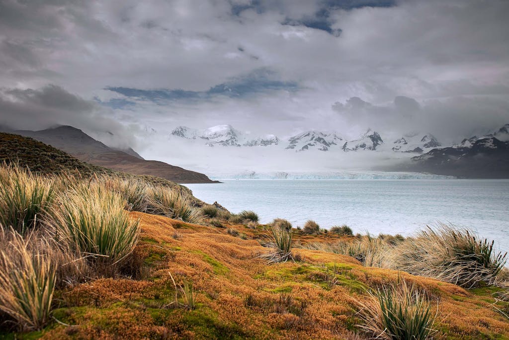 South Georgia island in the subantarctic