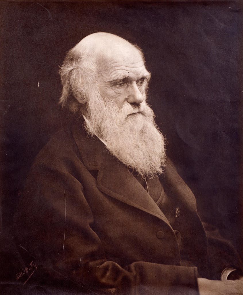 British explorer Charles Darwin