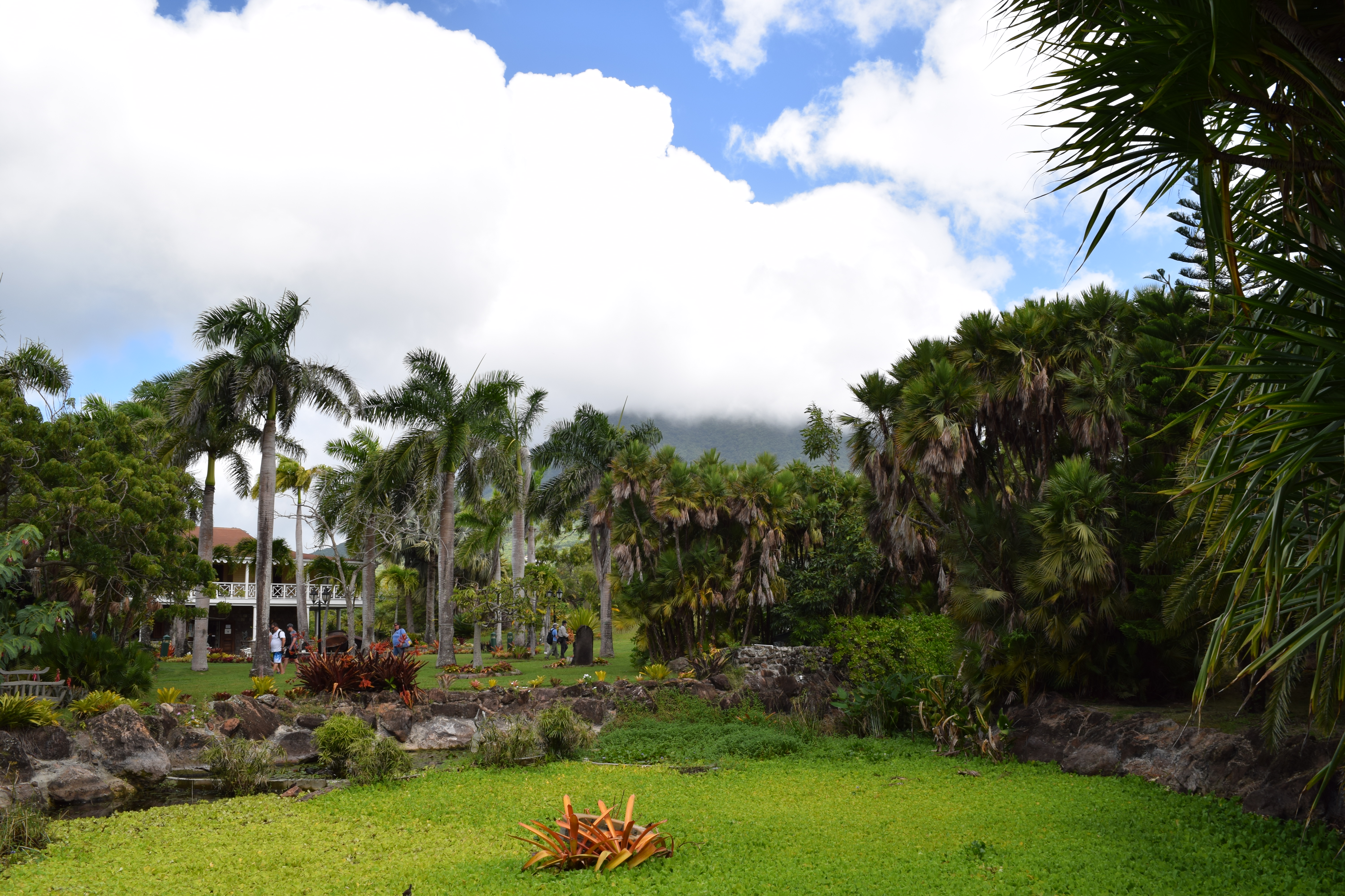 Botanical Gardens of Nevis