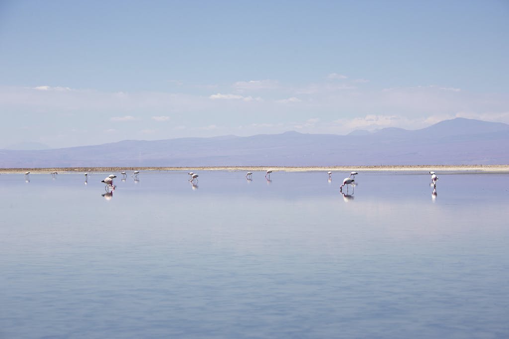 Atacama Salt Flats, Chile.