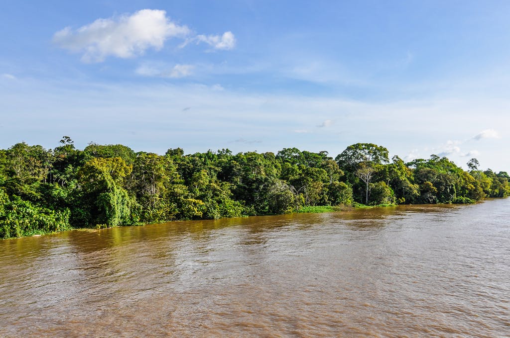 Amazon landscapes in Brazil