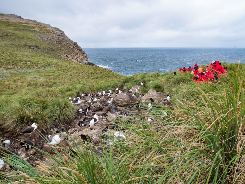 Silversea guests photograph seabirds in West Point Island