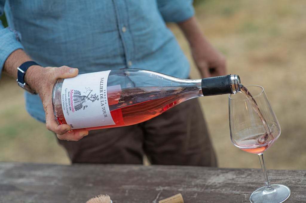 Food experiences in Italy with S.A.L.T. include wine tastings in Sicily's Sallier de la Tour estate.