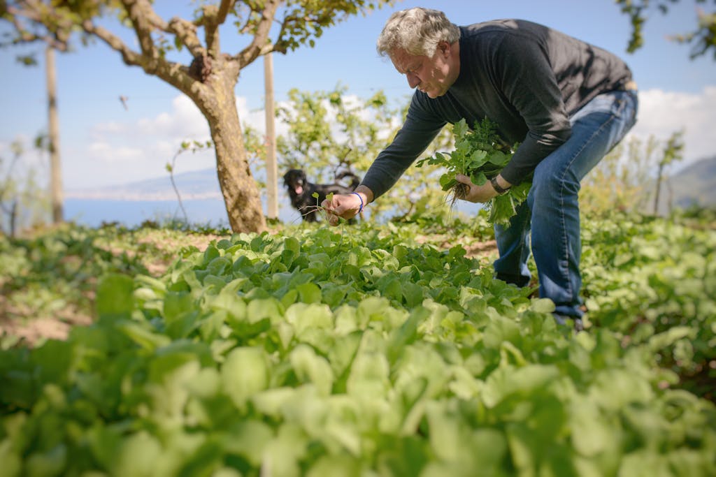 In Sorrento, chef Pepe Guida leads one of S.A.L.T.'s food experiences in Italy