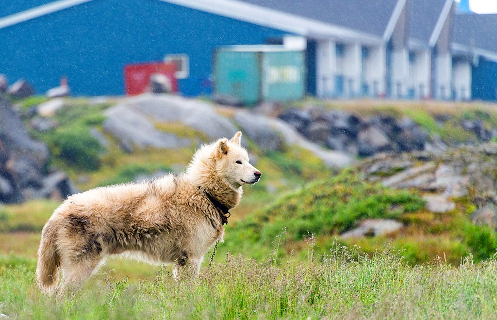 Greenland