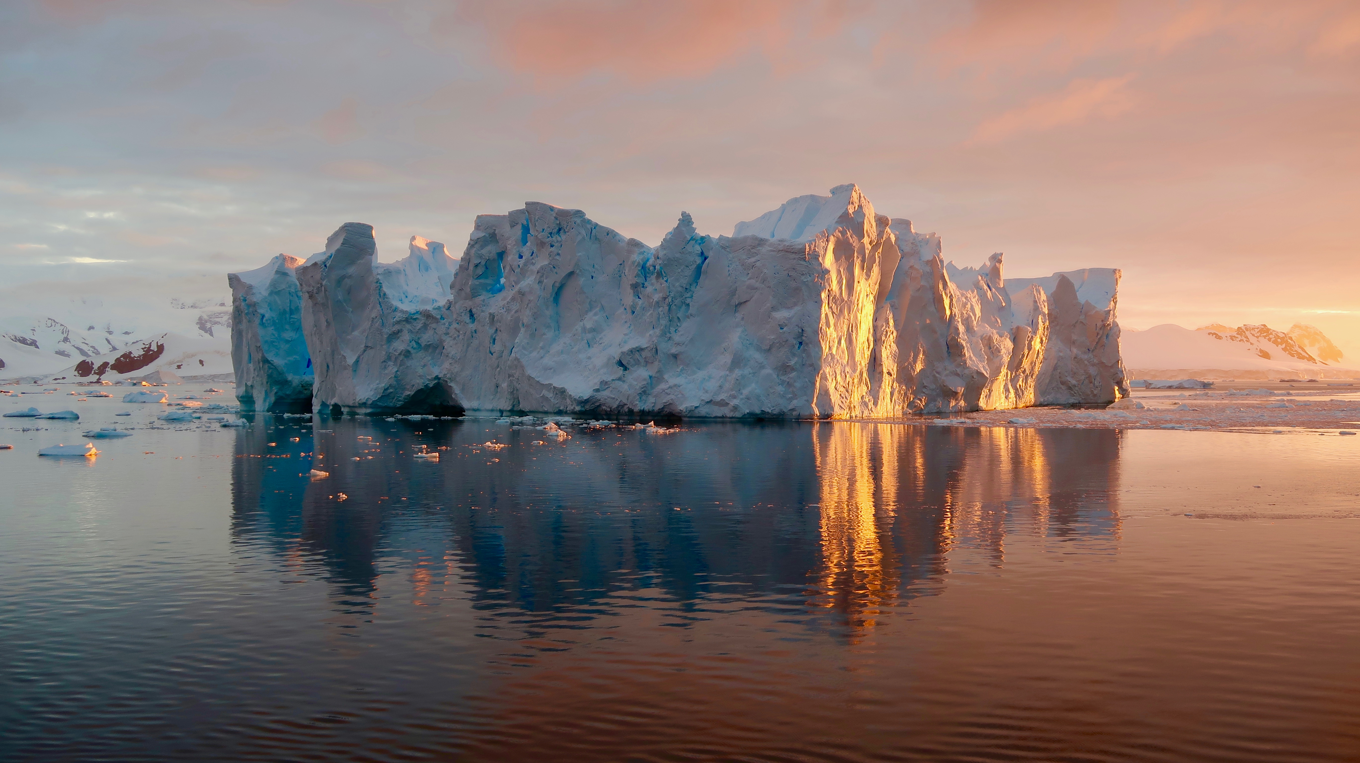 Everything You Need to Know When Visiting Antarctica